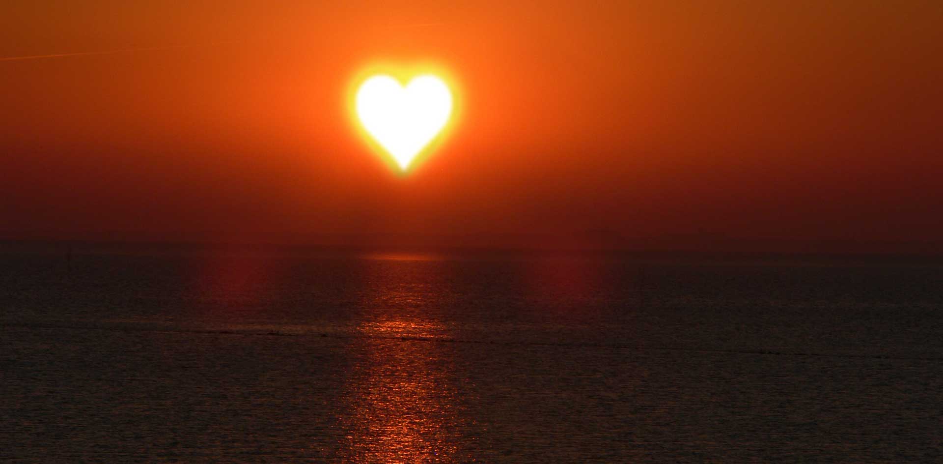 The Benefits of LED Systems and Vitamin D
