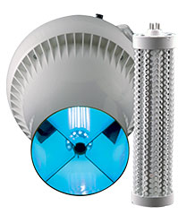 Pure Fan and Cell