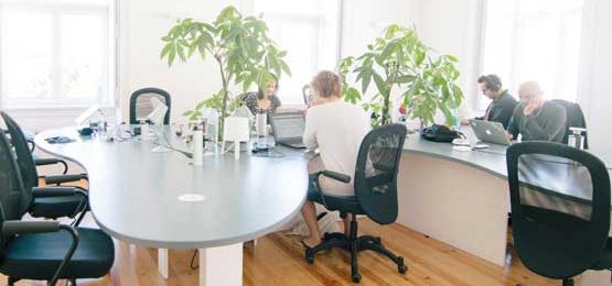 Workers in office
