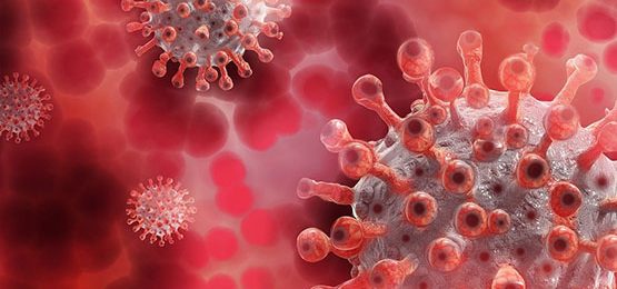 Virus close up