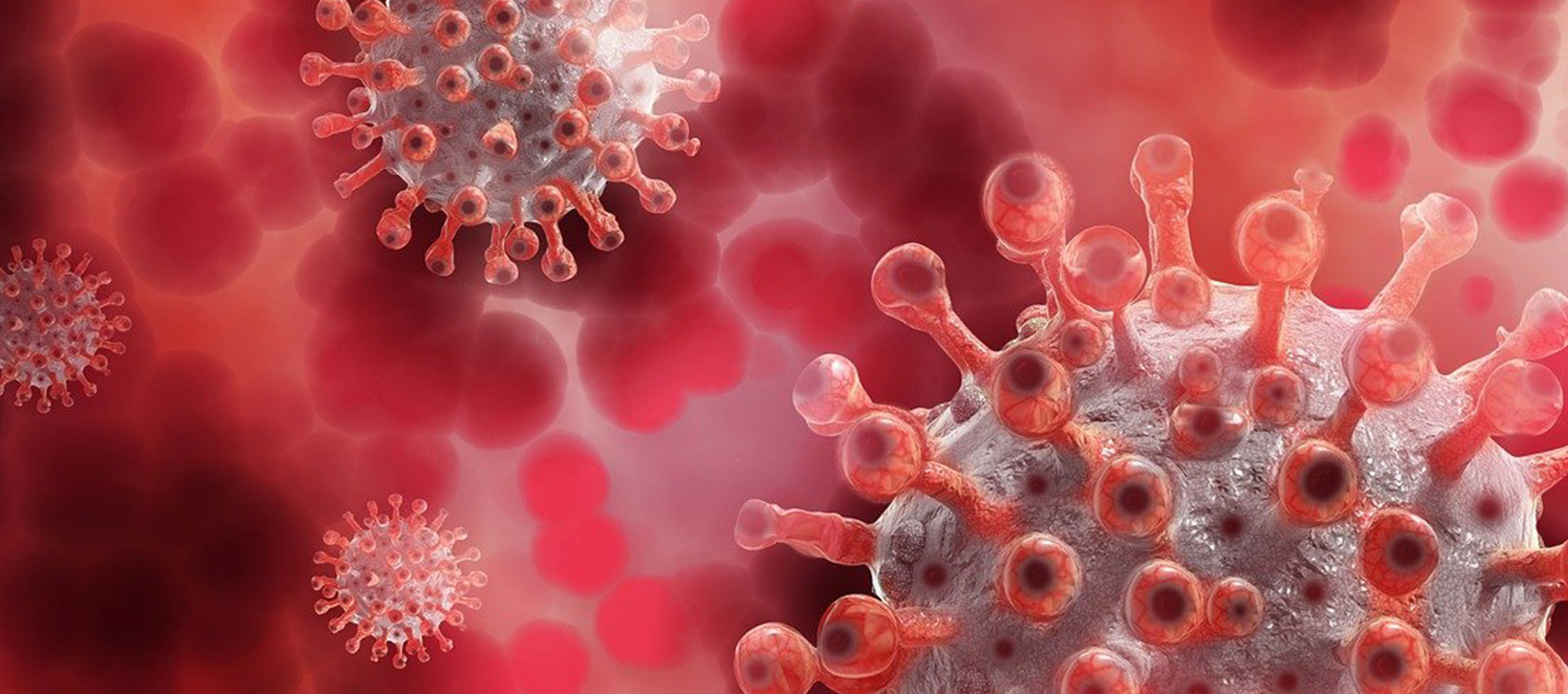 Virus close up
