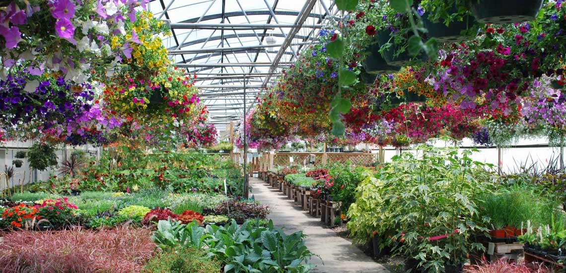 Timberline Gardens Cut Heating Costs by 26% With Airius Destratification